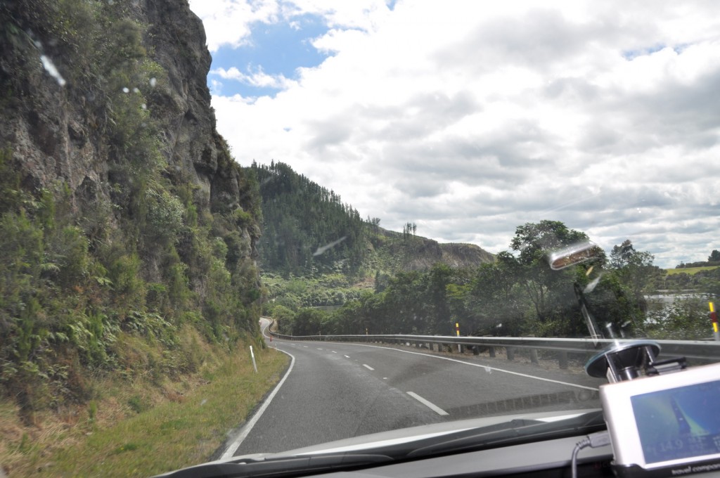 The road from Waitomo to Rotorua - where we saw a lot of clearcutting in the forest at the side of the road.